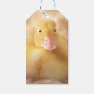 Fuzzy Yellow Duck Easter Baby Duckling Gift Tags