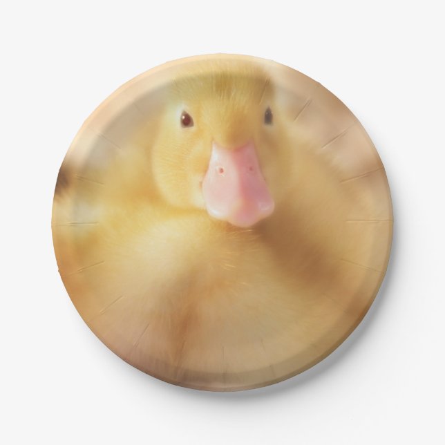 Fuzzy Yellow Duck Easter Baby Duckling Paper Plate (Front)