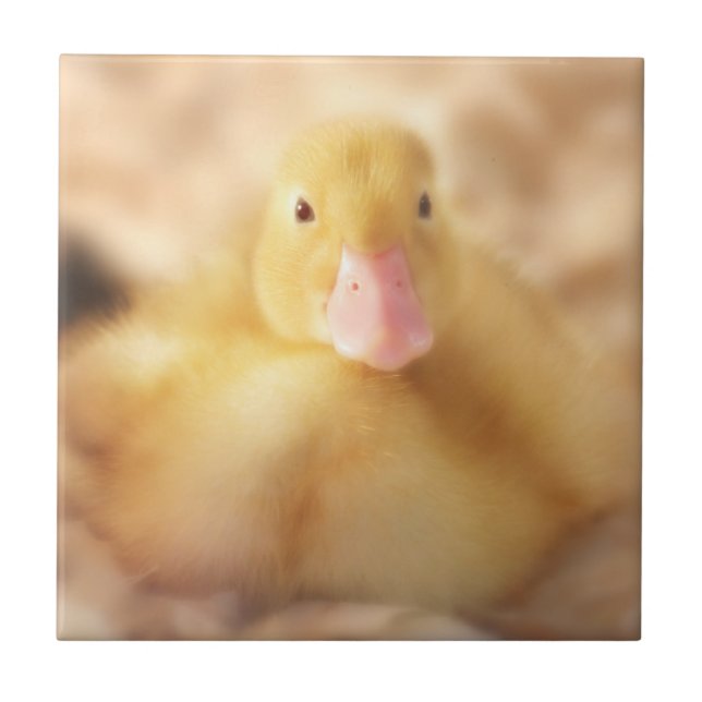 Fuzzy Yellow Duck Easter Baby Duckling Tile (Front)