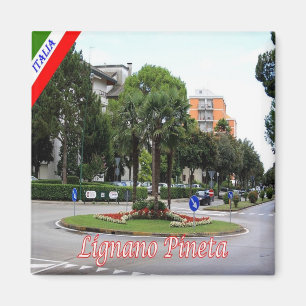 FVG008 LIGNANO, Pinewood, Italy, Fridge Magnet