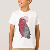 G is for Galah Cockatoo