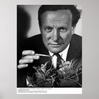 G. Ledyard Stebbins, UC Davis, 1966 Poster