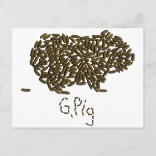 "G. Pig" with Classic Guinea Pig Postcard