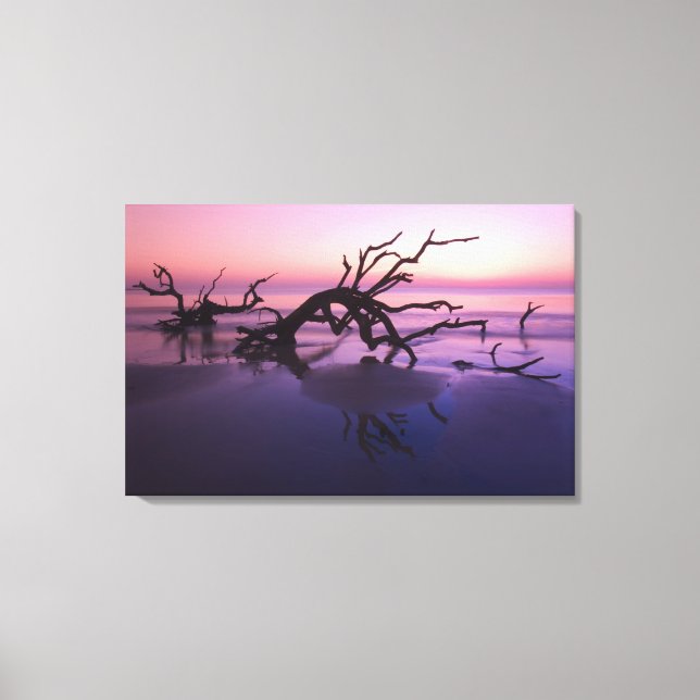 GA Jekyll Island, Tree graveyard on  beach at Canvas Print (Front)