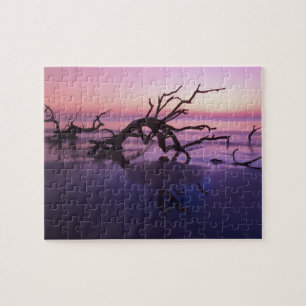 GA Jekyll Island, Tree graveyard on beach at Jigsaw Puzzle