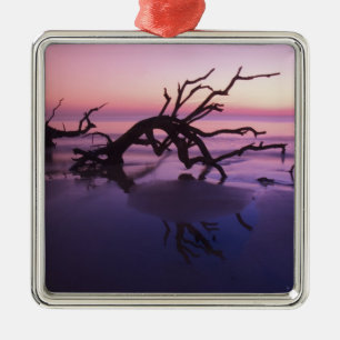 GA Jekyll Island, Tree graveyard on  beach at Metal Tree Decoration