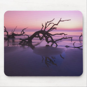 GA Jekyll Island, Tree graveyard on beach at Mouse Pad