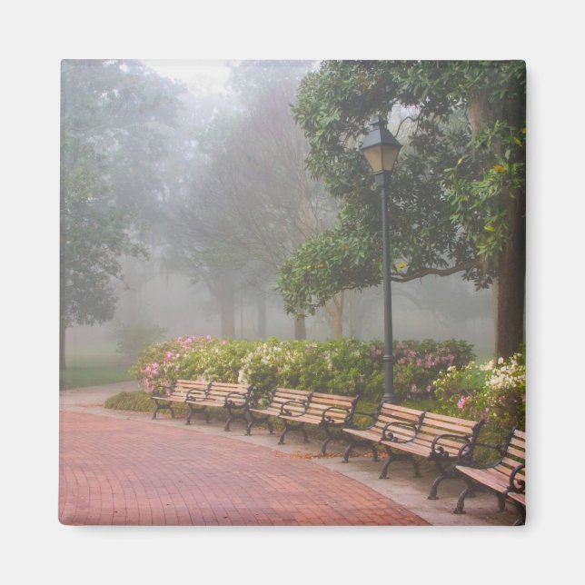 GA Savannah, Azaleas along brick sidewalk and Magnet (Front)