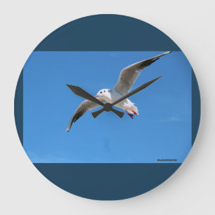 Gabbiano in volo - orologio fotografico blu large clock