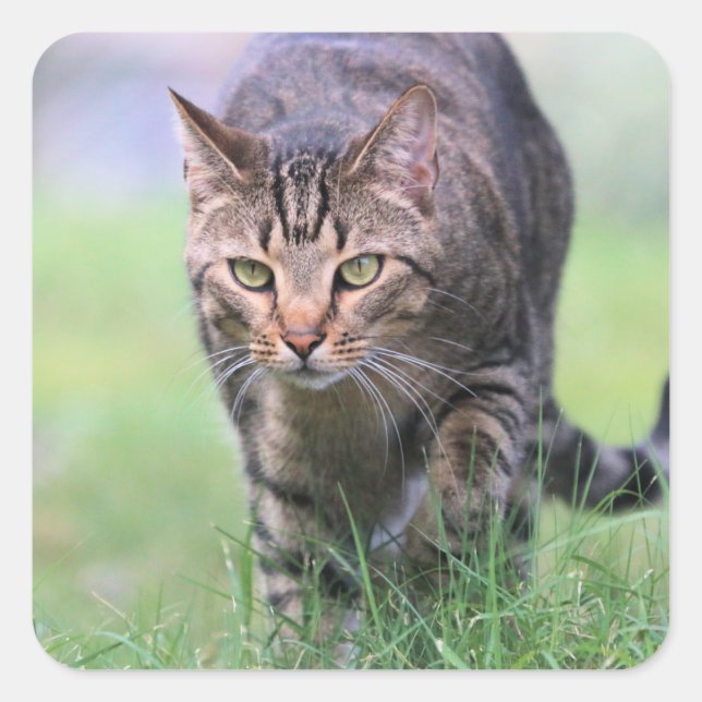 Gabe Square Sticker (Front)