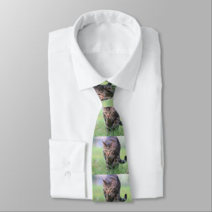 Gabe Tie