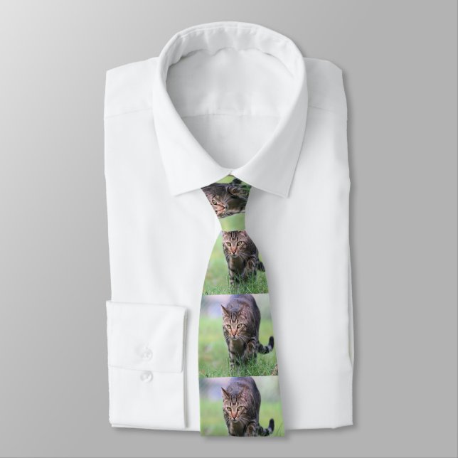 Gabe Tie (Tied)