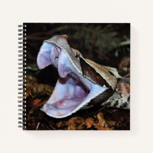 Gabon viper notebook