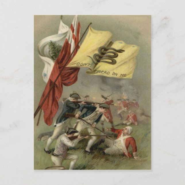 Gadsden Flag Revolutionary War Bunker Hill Postcard (Front)