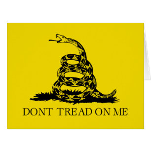Gadsden Rattlesnake Flag: Revolutionary War 1776