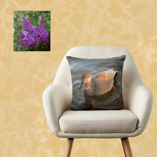 Gadwall Duck Drake on the Lake Cushion