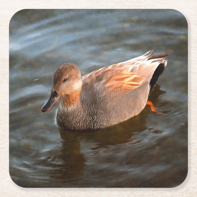 Gadwall Duck Drake on the Lake Square Paper Coaster (Front)