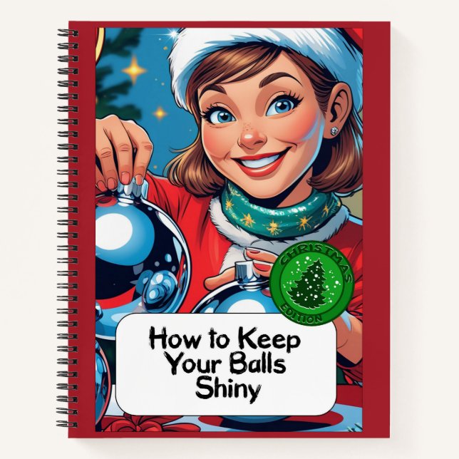 Gag gift - Notebook, pretending to be a book  (Front)