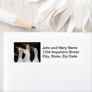 Gaggle of White Ducks Return Address