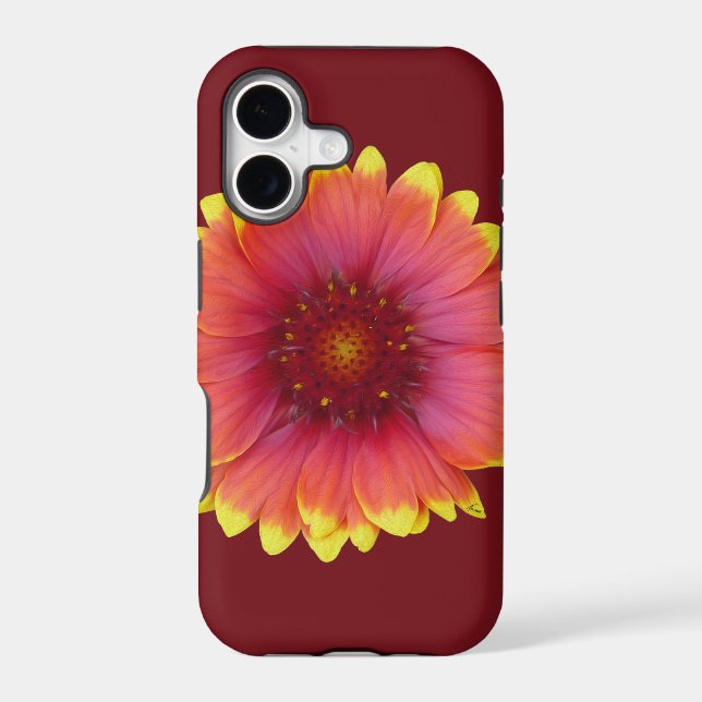 Gaillardia 1 (Back)
