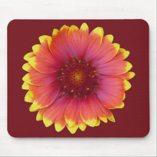Gaillardia 1 mouse pad