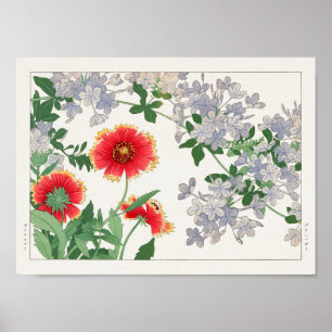 Gaillardia, Plumbago by Tanigami Konan Poster