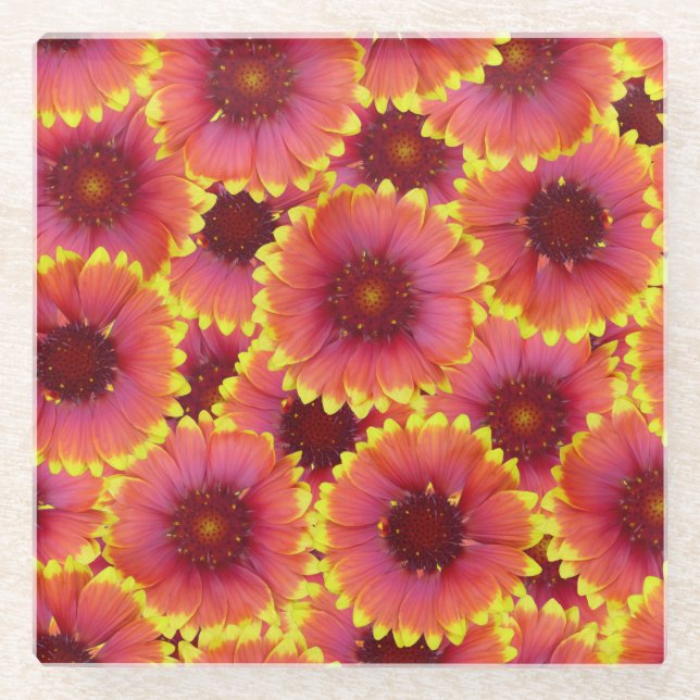 Gaillardia Seamless Pattern Glass Coaster (Front)