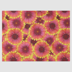 Gaillardia Seamless Pattern Tissue Paper
