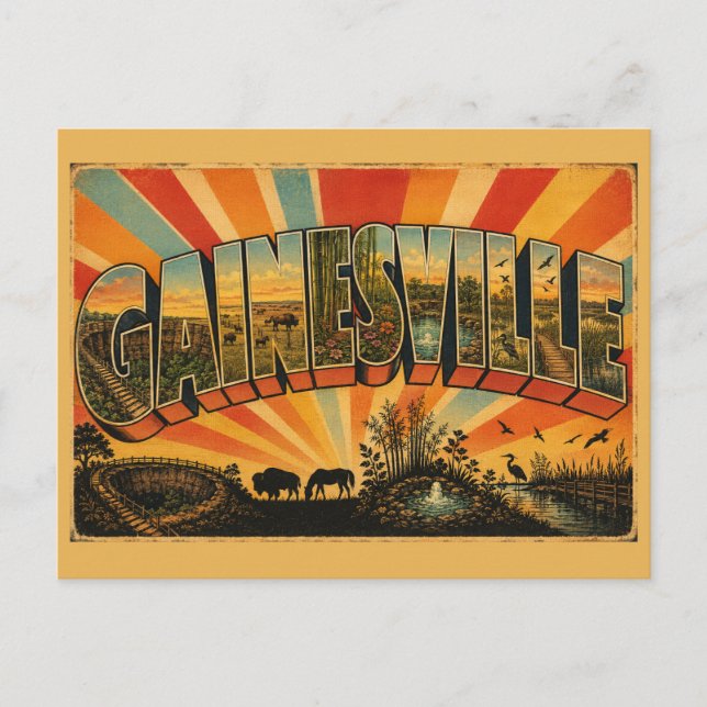 Gainesville Florida Prairie Gardens Springs  Postcard (Front)