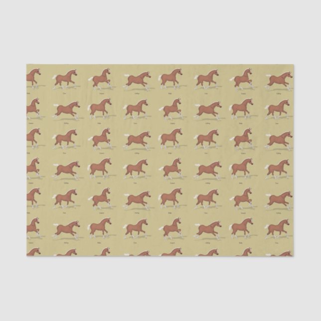 Gaits of the Horse Walk Trot Canter Gallop Sorrel Tissue Paper (Front)