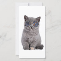 Galactic Gaze The Stellar Kitty in Sunglasses