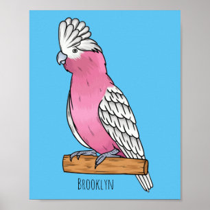 Galah bird cartoon illustration  poster