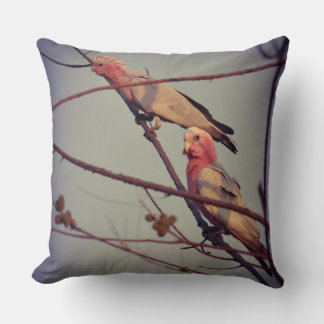 Galah birds in tree2 cushion