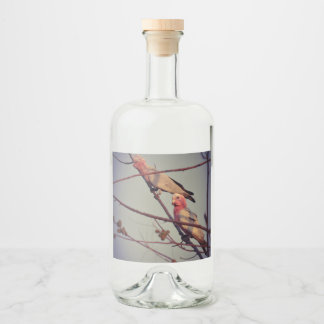 Galah birds in tree2 liquor bottle label