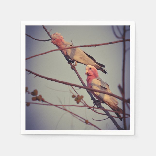 Galah birds in tree2 napkin (Front)