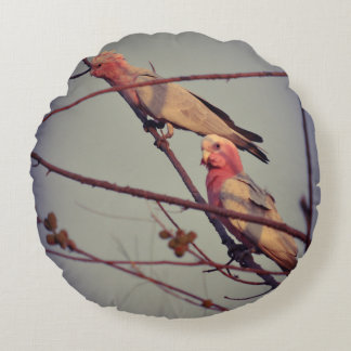Galah birds in tree2 round cushion