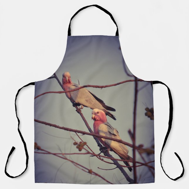 Galah birds in tree 1 apron (Front)