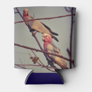 Galah birds in tree 1 can cooler