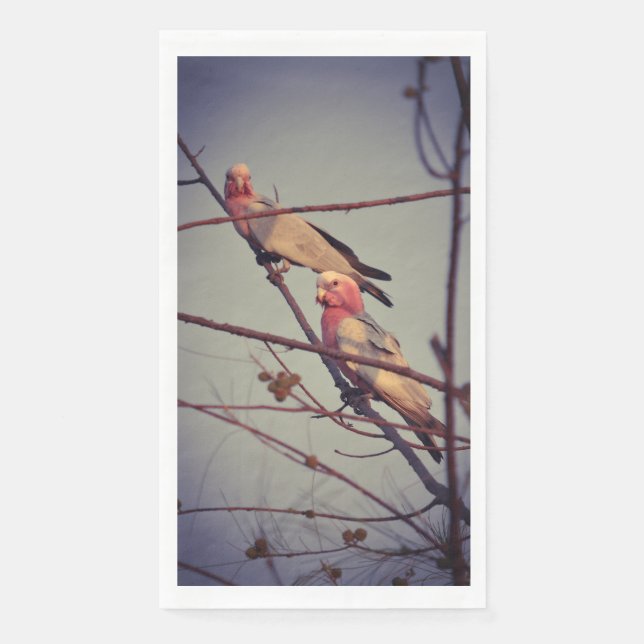 Galah birds in tree 1 napkin (Front)