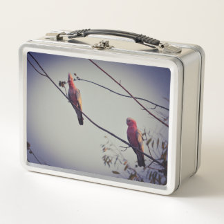 Galah birds in tree 3 metal lunch box