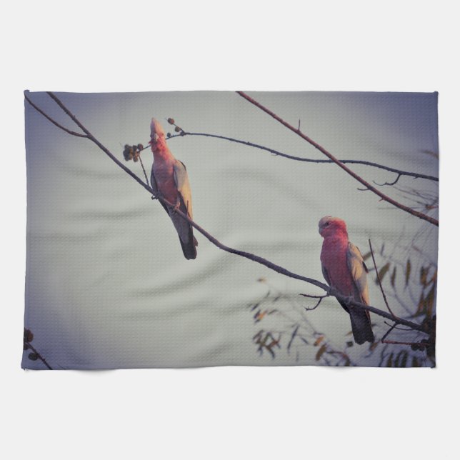Galah birds in tree 3 tea towel (Horizontal)