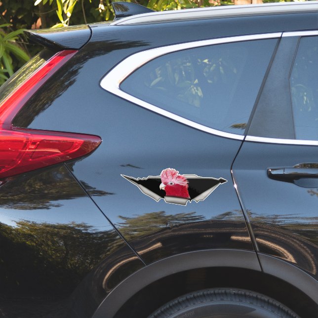 Galah Cockatoo Sticker – Pink Parrot Bird Decal (Car Side)