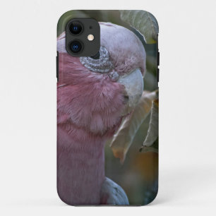 Galah or Rose-breasted Cockatoo Case-Mate iPhone Case