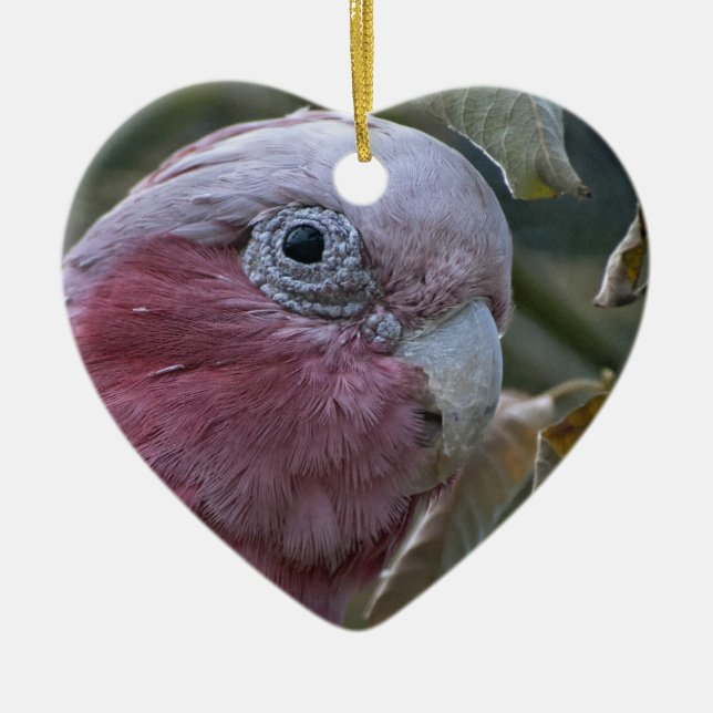 Galah or Rose-breasted Cockatoo Ceramic Tree Decoration (Front)