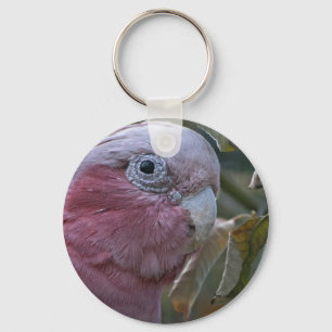 Galah or Rose-breasted Cockatoo Key Ring