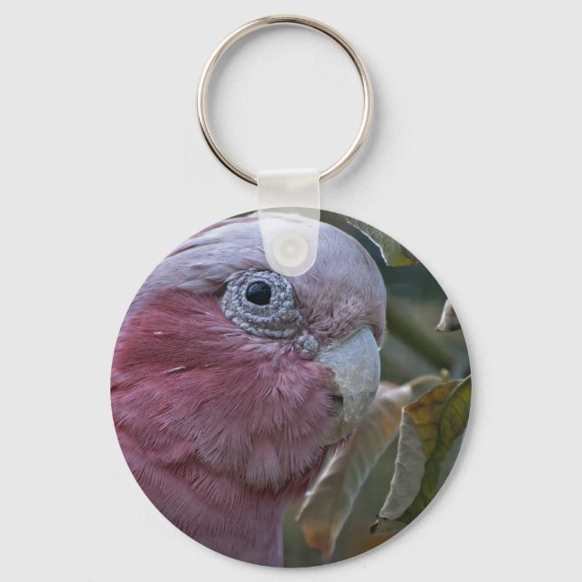 Galah or Rose-breasted Cockatoo Key Ring (Front)