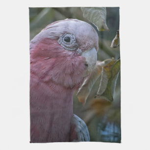 Galah or Rose-breasted Cockatoo Tea Towel
