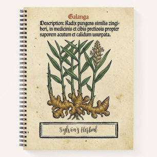 Galangal Root: The Apothecary's Mediaeval Recipe Notebook