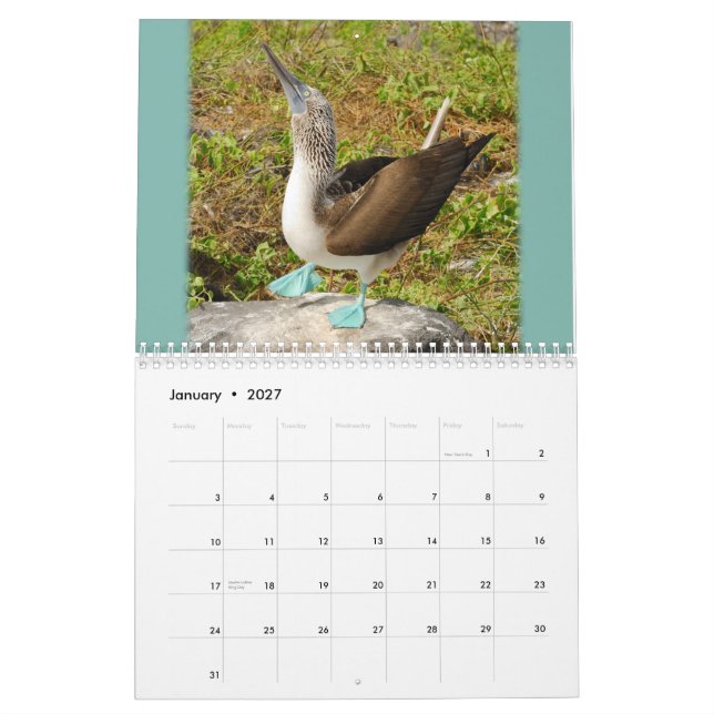 Galapagos! Calendar (Jan 2027)