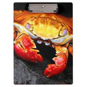 Galapagos Crab Clipboard